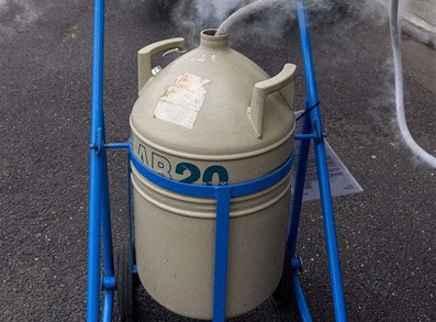 信陽(yáng)液氮價(jià)格